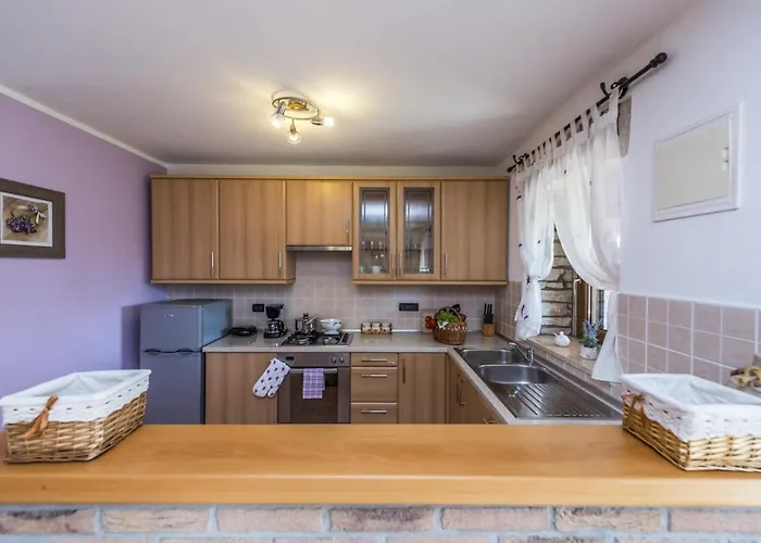 Natale With Private Pool And Garden Vošteni